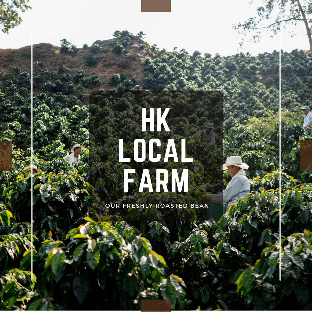 Premium Organic Products from Hong Kong Local Farm